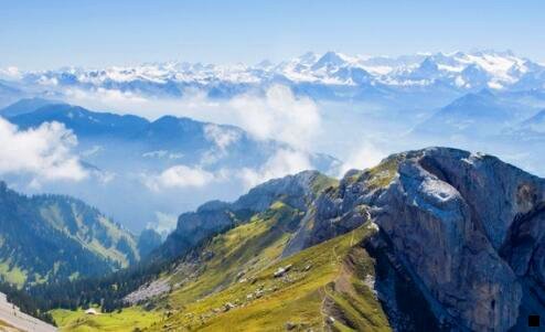 三粉象生活不分享