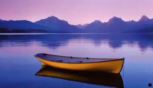 一粉象生活2020年终庆典