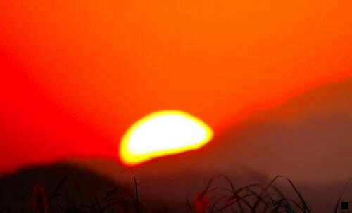 二如何选择全麦粉