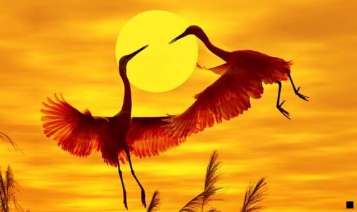 三粉推到底是什么