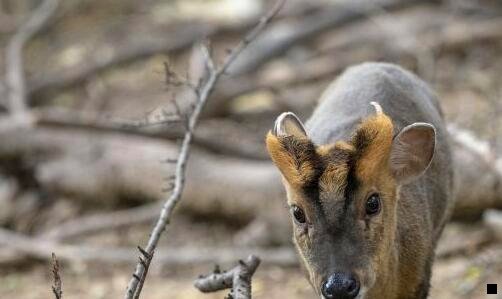 一粉象生活UQQNUJ