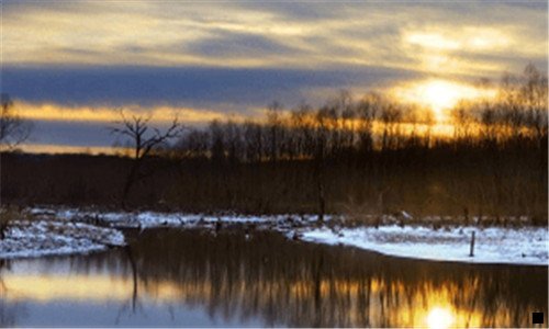 三粉象生活100积分多少钱