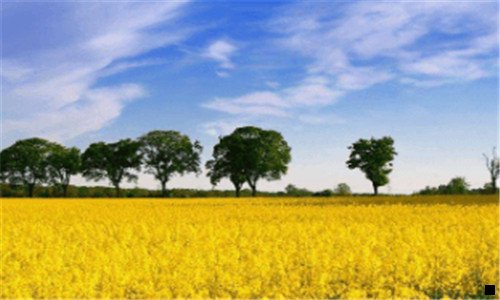 二粉象生活怎么自己注册邀请码