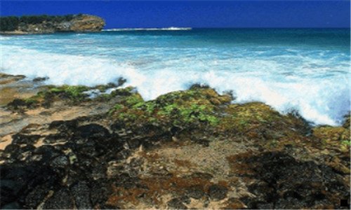 三原麦汁浓度8.0°p是什么意思