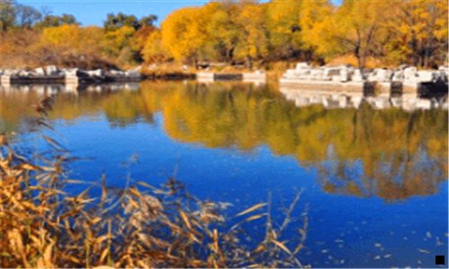 一为什么应用商店有两个粉象生活