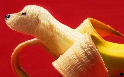 三粉象生活官网邀请码