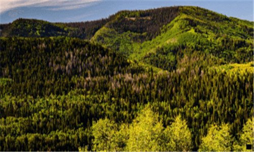 一粉象生活总代邀请码