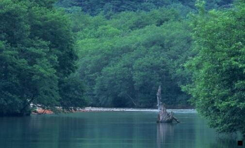 二粉象生活怎么快速推广