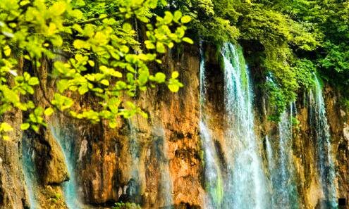 三粉象生活和红人装哪个好