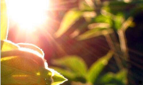 二马云如何评价粉象生活的