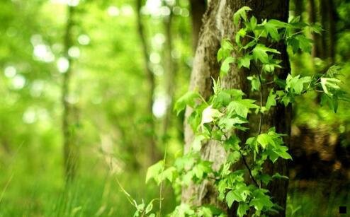 三有人做粉象生活赚钱了吗