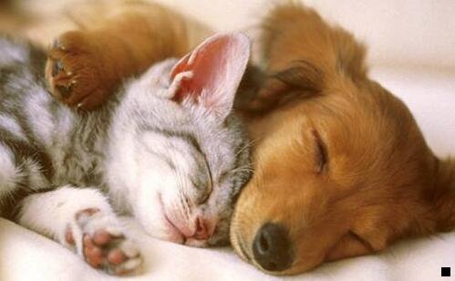 二粉象生活是个什么东西