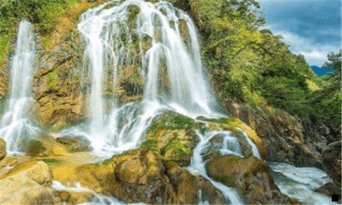 一春天里的花像火象雪像粉