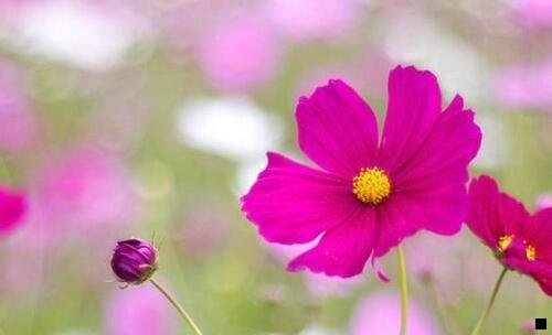 三怎样建立自己的粉象微信群