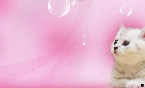 一粉象生活升级vip礼包能否退货