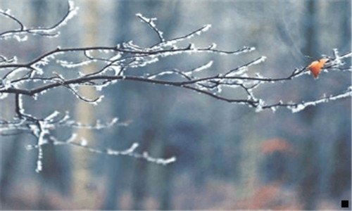 二粉象生活创始人是谁