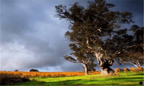 三粉象生活怎么朋友圈推广