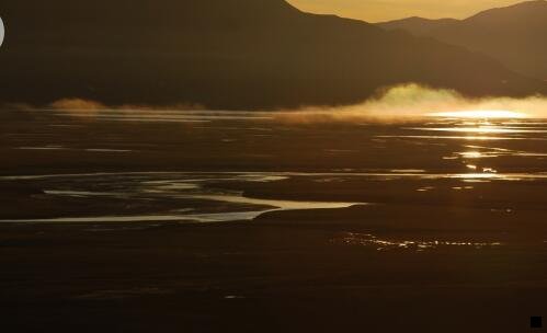 二粉象生活官网首页