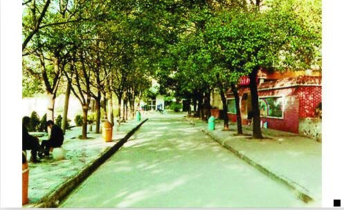 一粉象app免费下载