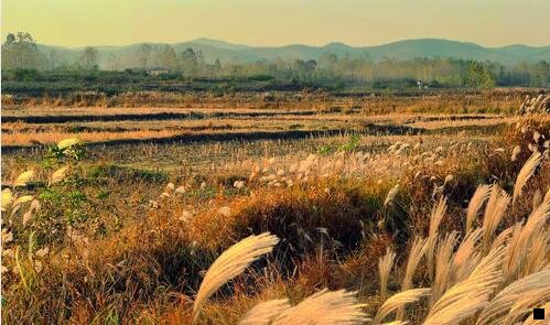 二南宁万象城复记老友粉