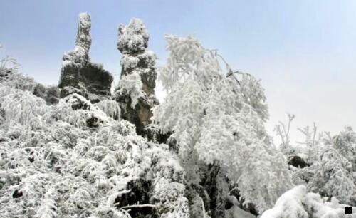 二粉象生活是什么时候推出来的