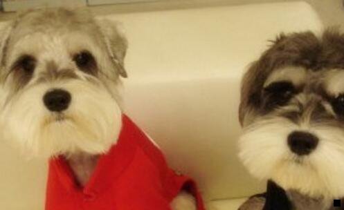 三粉象生活高级邀请码351395