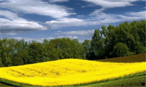 三粉象生活怎么复制分享链接