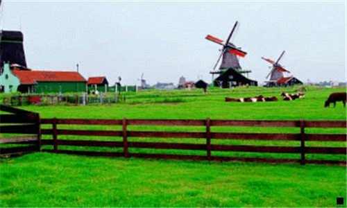 三粉象生活模式合法吗