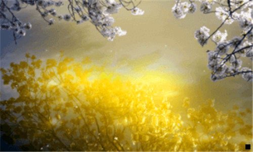 一粉象生活抢购抢不着