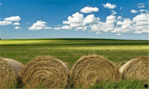 一阿里巴巴粉象创始人