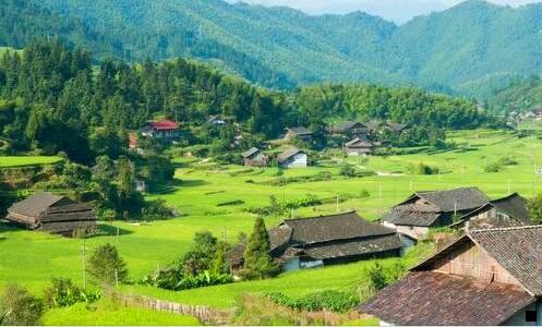 三哪个是粉象真正的官网邀请码