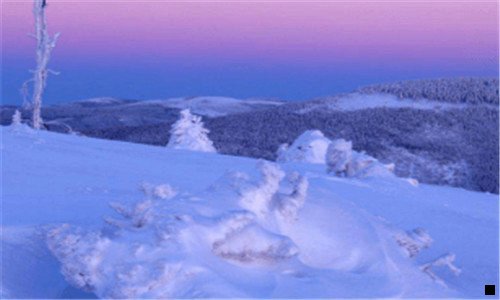 二粉象生活到底靠谱吗