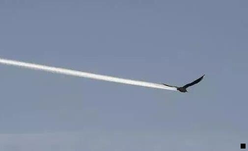 二粉象生活app最新版