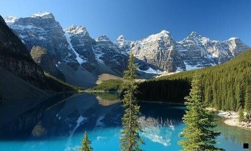 一粉象生活中水果