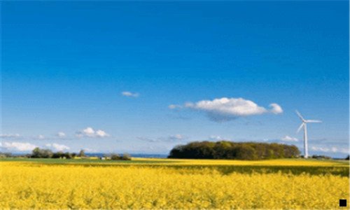 三个人怎么做社交电商