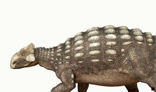 一蓝粉象婴幼儿服饰天猫