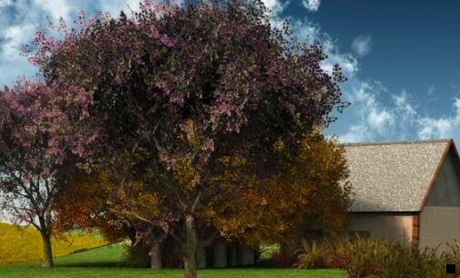 三粉象生活一个象币多少钱