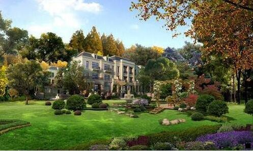 二粉象生活能看到粉丝订单吗