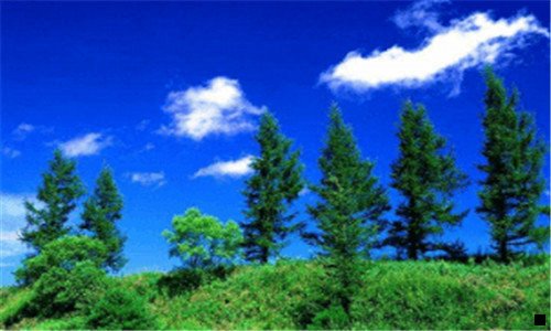 一粉象生活勾勾导师