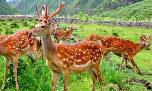 一怎么从粉象生活卖给闲鱼