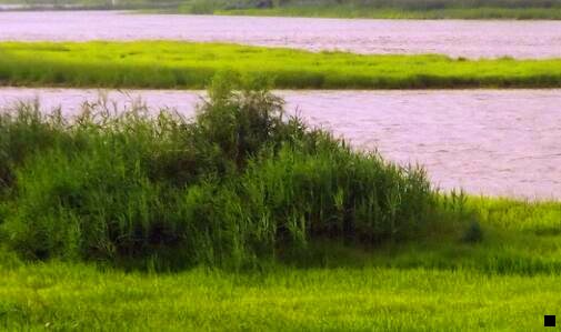 二马云如何评价粉象生活的