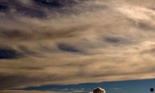 二灵芝泡子粉的作用和功效