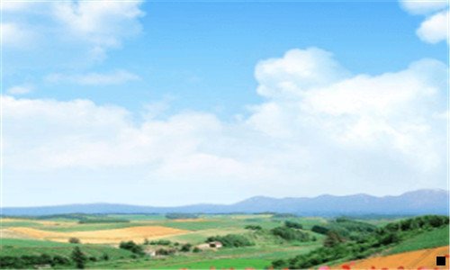 二田昊粉象生活直播