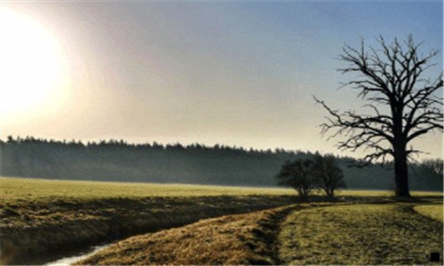 一粉象生活生活怎么玩