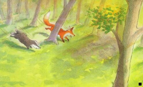 二2020做粉象还是花生