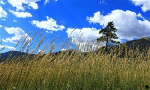 三粉象京东一分购不返款