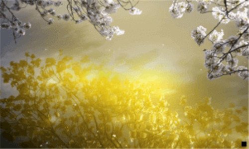 一粉象生活佣金分配图