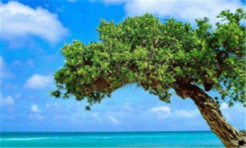 二粉象生活靠谱吗