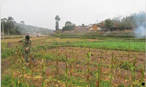 三象印保温杯涂层安全么