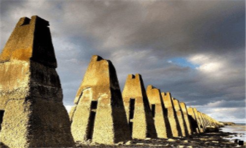 一粉象啤酒一人能喝多少